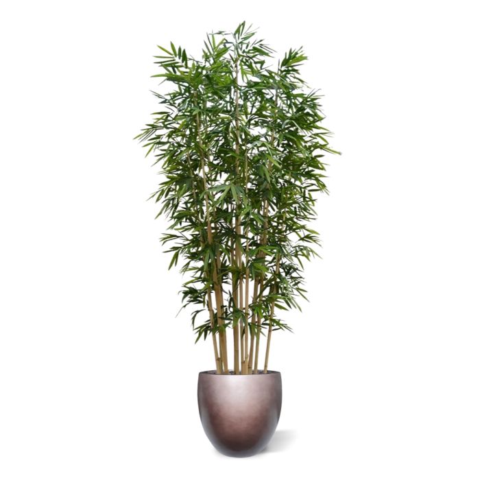Bamboe deluxe kunstboom op plaat 400cm - NOVA LIGNUM
