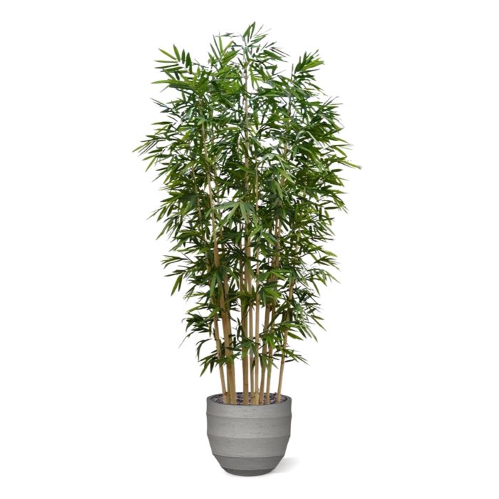 Bamboe deluxe kunstboom op plaat 400cm - NOVA LIGNUM
