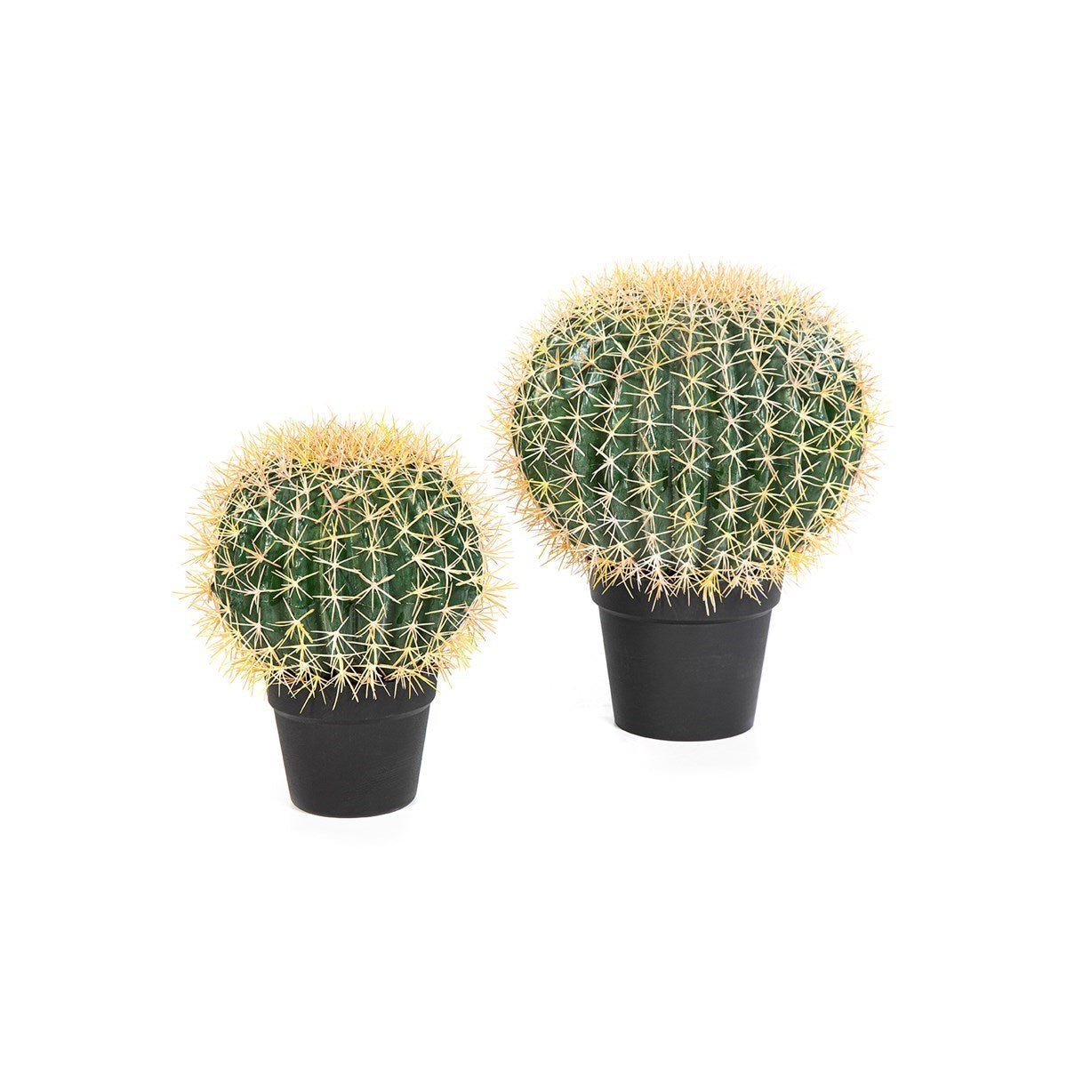 Barrel Cactus 33 cm - NOVA LIGNUM