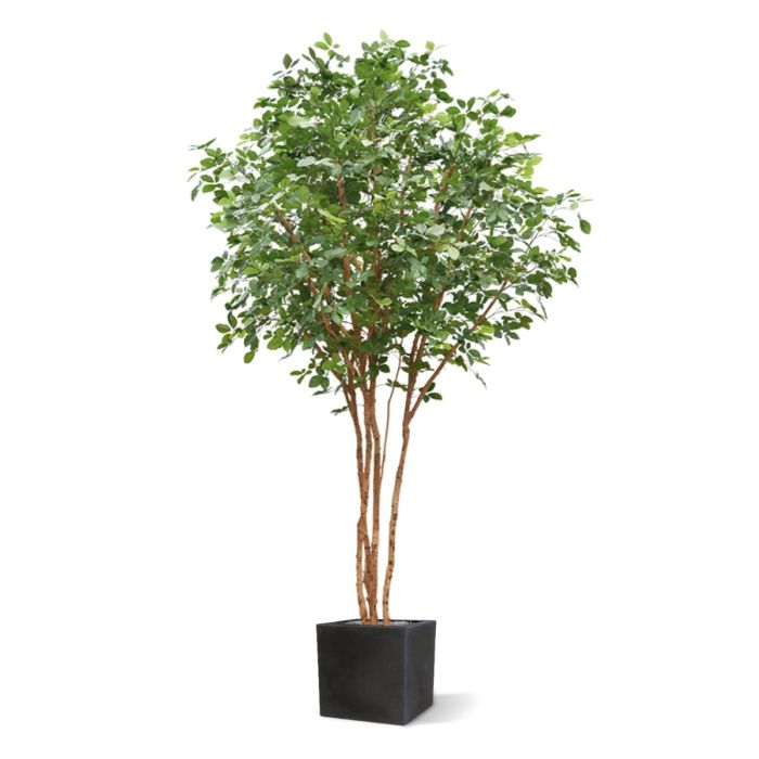 Beuken deluxe kunstboom 350cm - NOVA LIGNUM