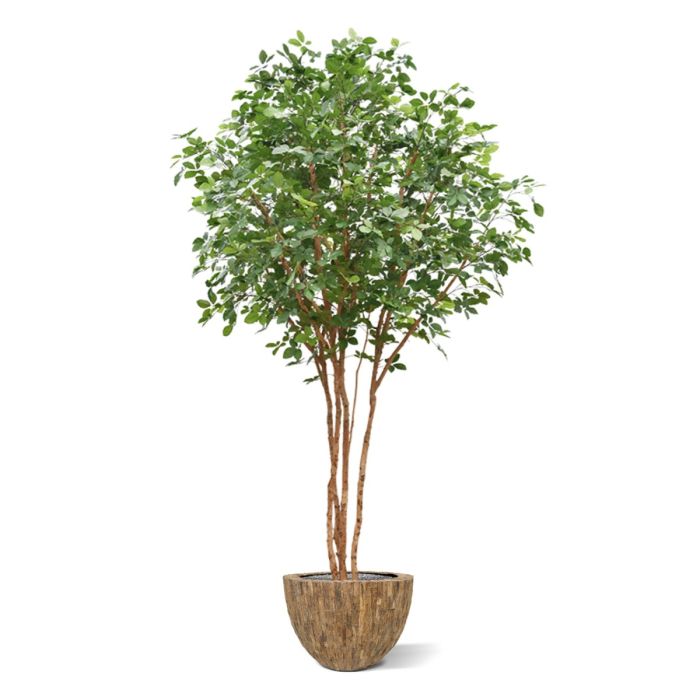 Beuken deluxe kunstboom 350cm - NOVA LIGNUM