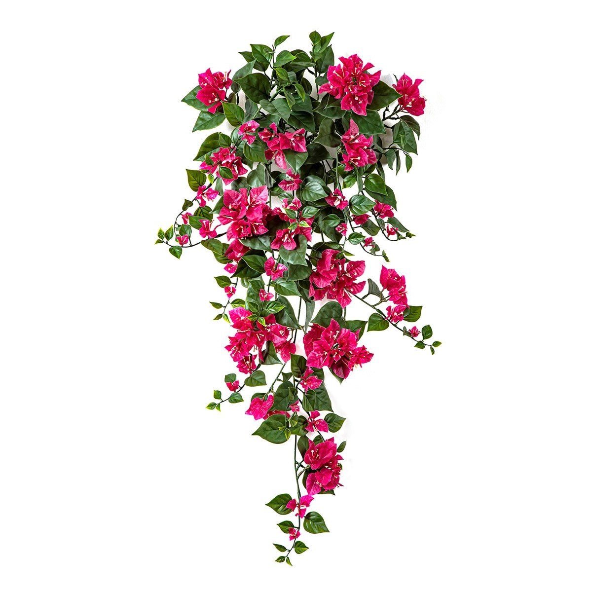 Bougainvillea Hanging Bush Fuchsia - UV - NOVA LIGNUM