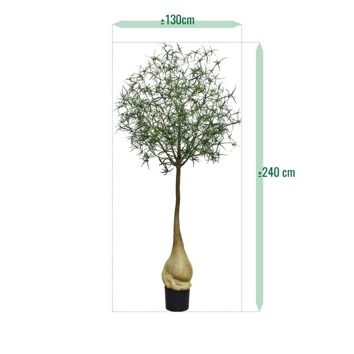 Brachychiton Bottle Kunstboom 240cm - NOVA LIGNUM