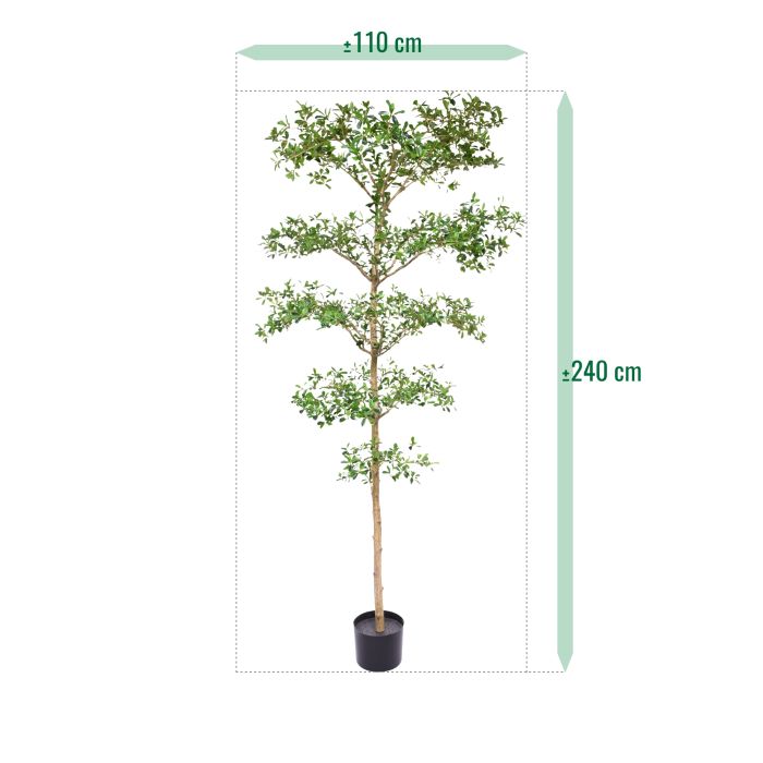 Bucida Buceras Kunstboom 240cm NT groen - NOVA LIGNUM