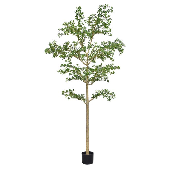 Bucida shady Lady Kunstboom 270cm groen - NOVA LIGNUM