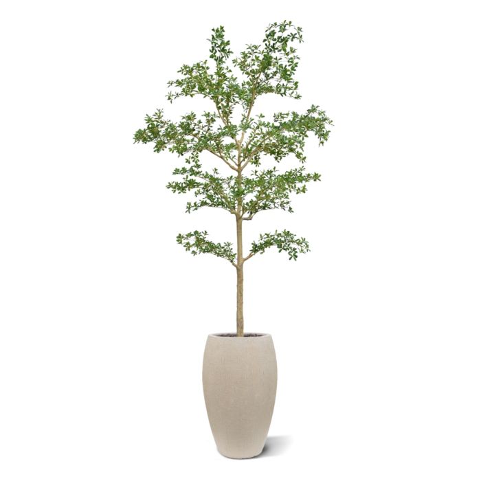 Bucida shady Lady Kunstboom 270cm groen - NOVA LIGNUM