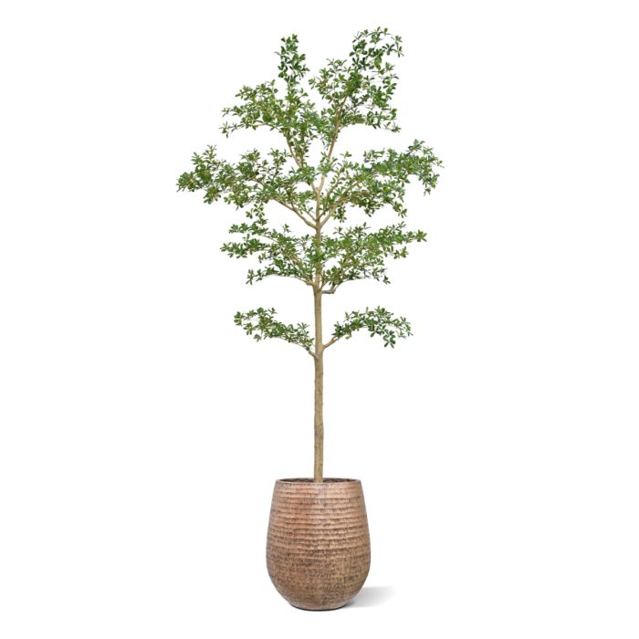 Bucida shady Lady Kunstboom 270cm groen - NOVA LIGNUM