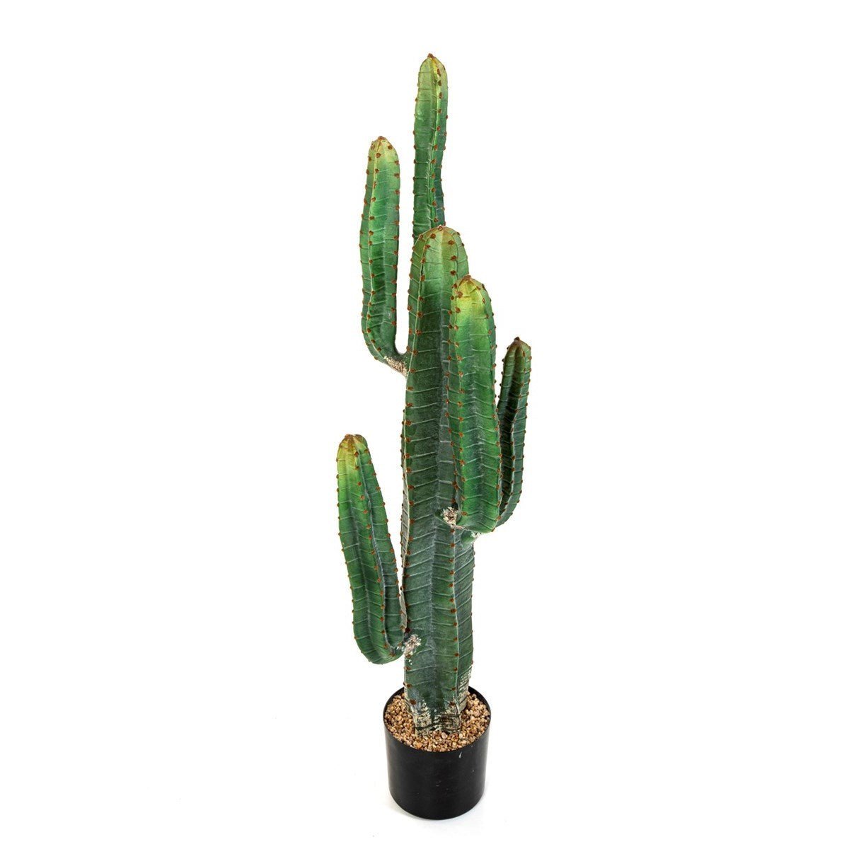 CEREUS CACTUS X 6 - 115 CM - NOVA LIGNUM