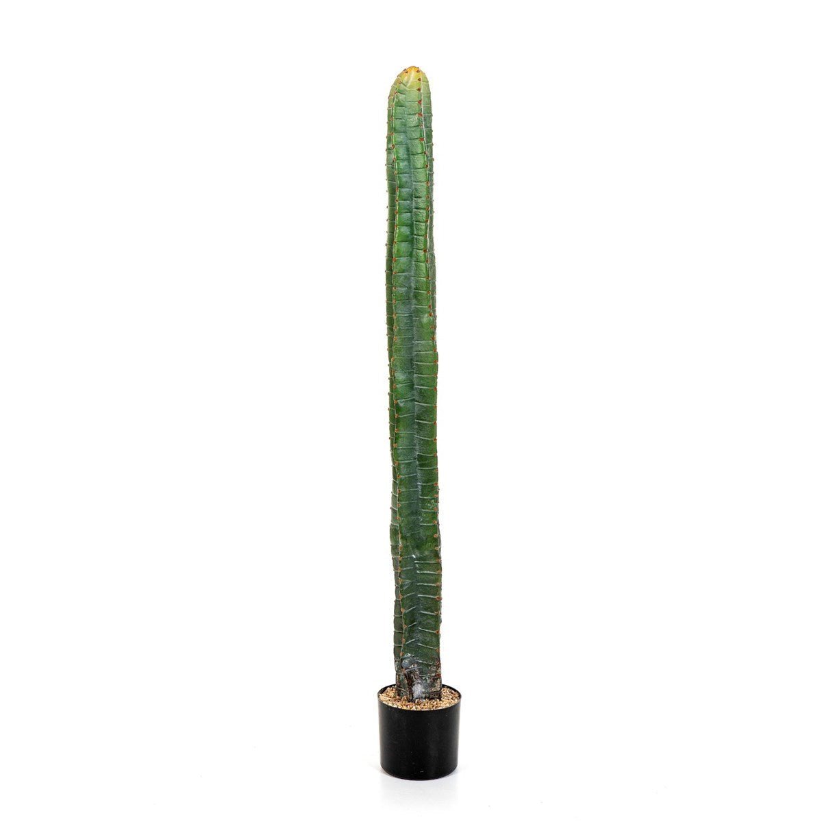 CEREUS COLUMN CACTUS 140 CM - NOVA LIGNUM