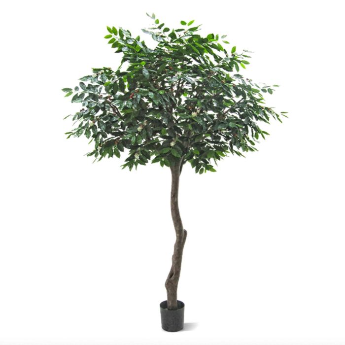 Coffee Arabica Giant kunstboom 320cm - afbeelding 12