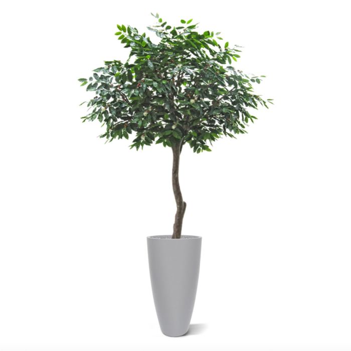 Coffee Arabica Giant kunstboom 320cm - afbeelding 3