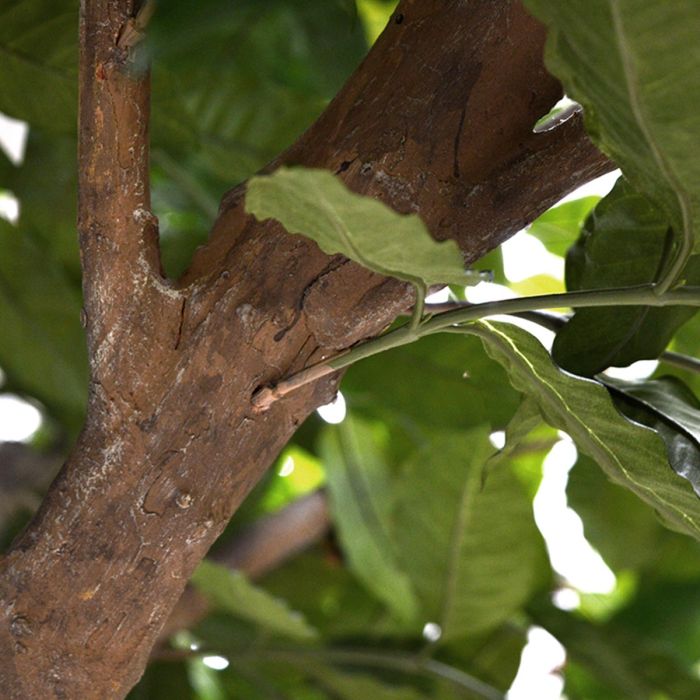 Coffee Arabica Giant kunstboom 320cm - afbeelding 7