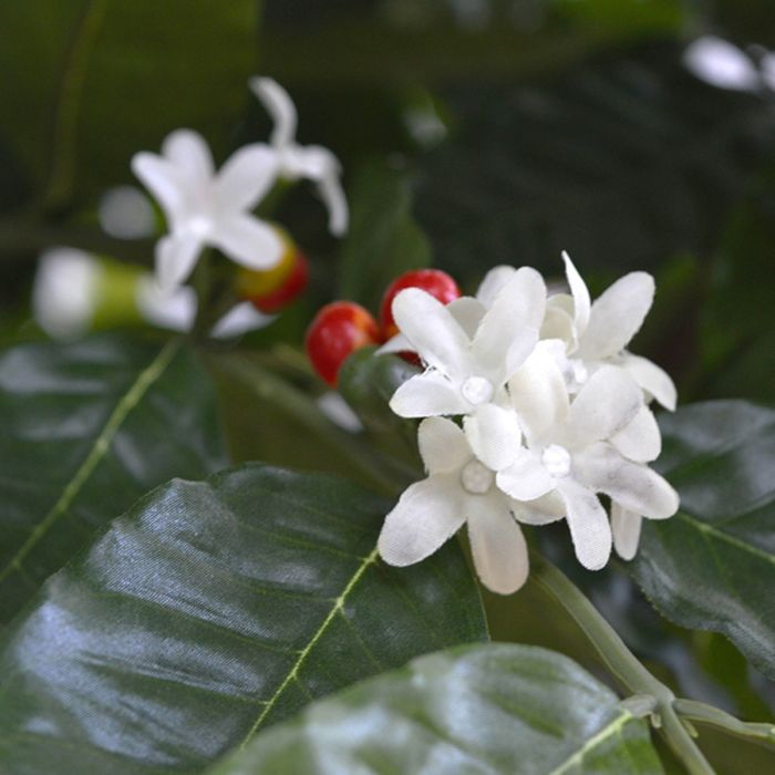 Coffee Arabica Giant kunstboom 320cm - afbeelding 8