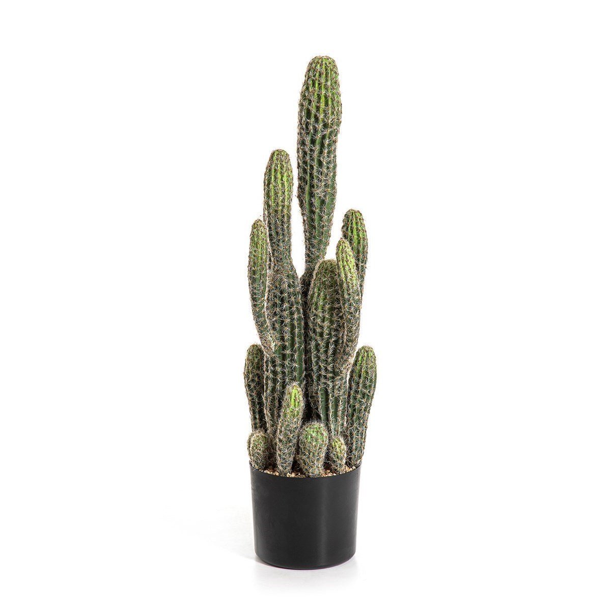Column Cactus - NOVA LIGNUM