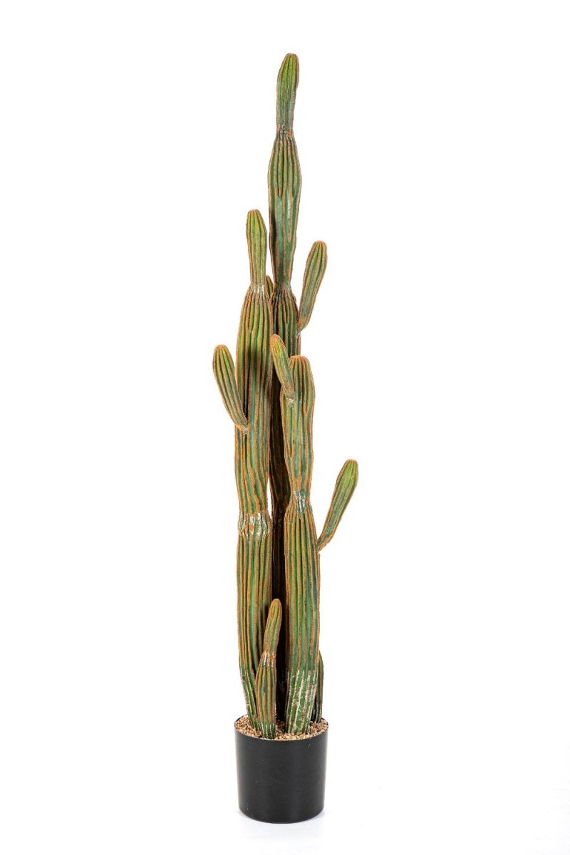 COLUMNAR CACTUS 150 CM - NOVA LIGNUM