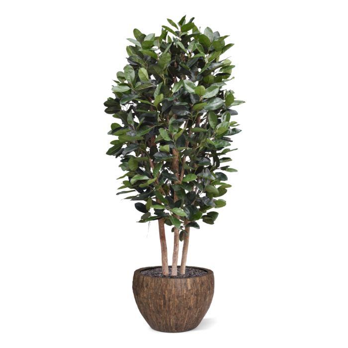Elastica Robusta Kolom Kunstboom Deluxe 300cm groen - NOVA LIGNUM