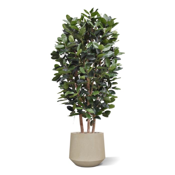Elastica Robusta Kolom Kunstboom Deluxe 300cm groen - NOVA LIGNUM