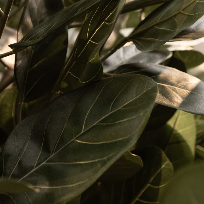 Ficus Audrey Kunstboom Deluxe 250cm - NOVA LIGNUM