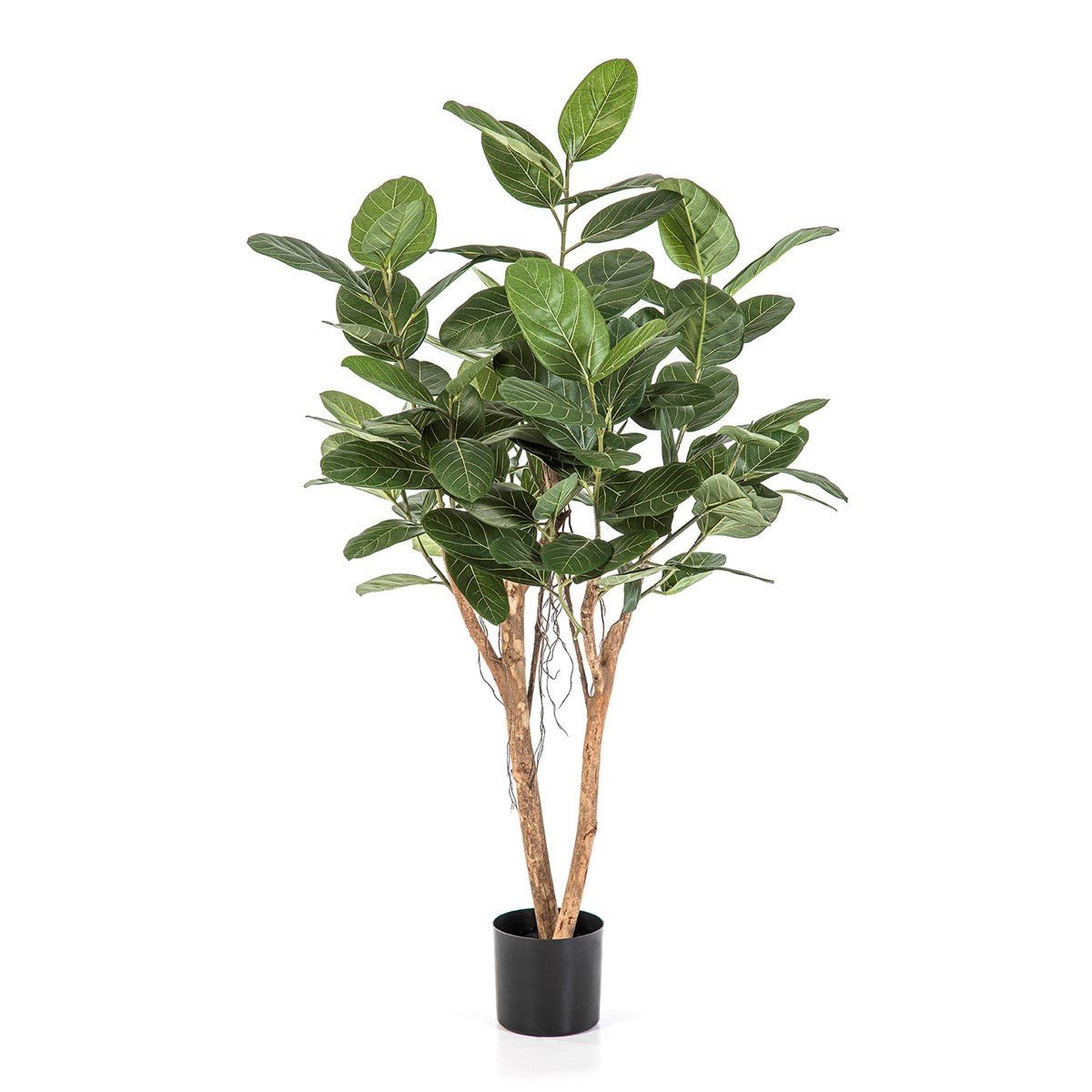 Ficus Audrey Tree - 140 cm 32405N - NOVA LIGNUM