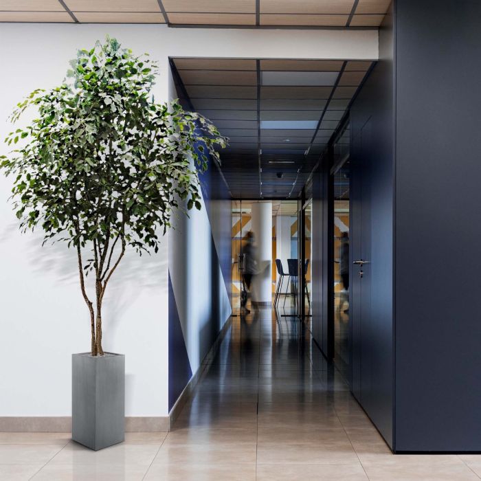 Ficus Exotica kunstboom 330cm - NOVA LIGNUM