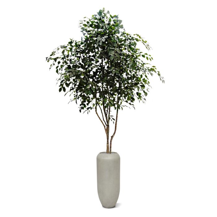 Ficus Exotica kunstboom 330cm - NOVA LIGNUM