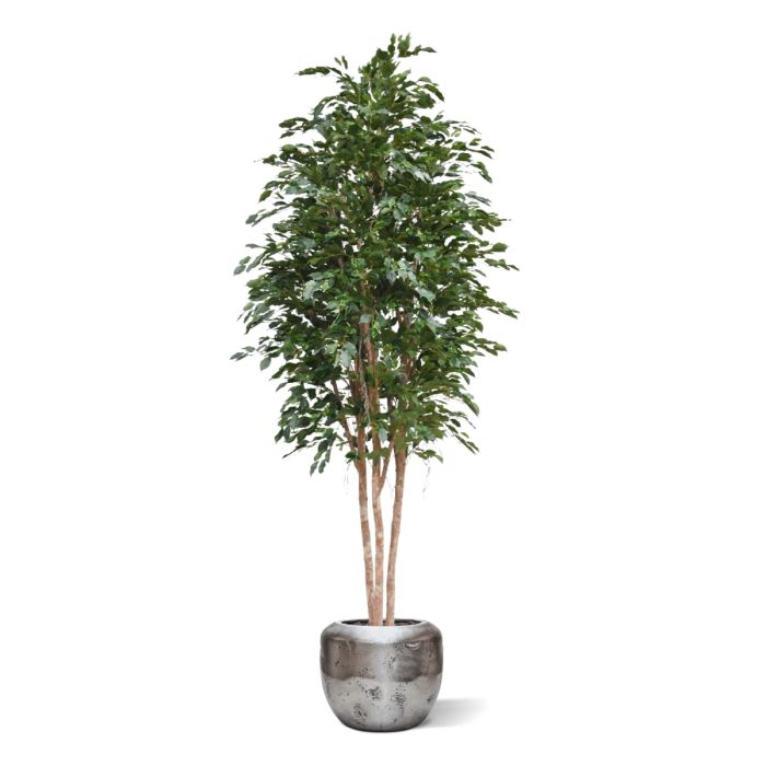 Ficus Exotica Kunstboom Deluxe 300cm groen - NOVA LIGNUM