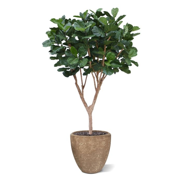 Ficus Lyrata XL kunstboom Deluxe 300cm - NOVA LIGNUM