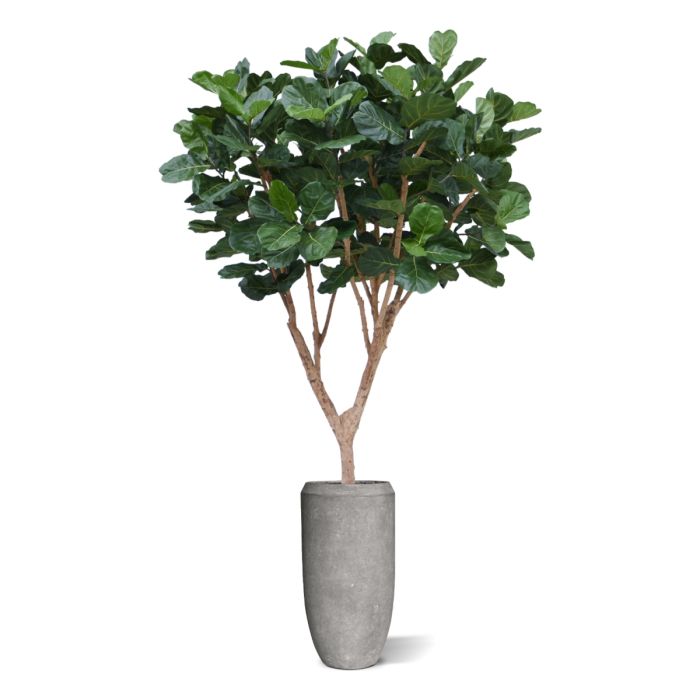Ficus Lyrata XL kunstboom Deluxe 300cm - NOVA LIGNUM
