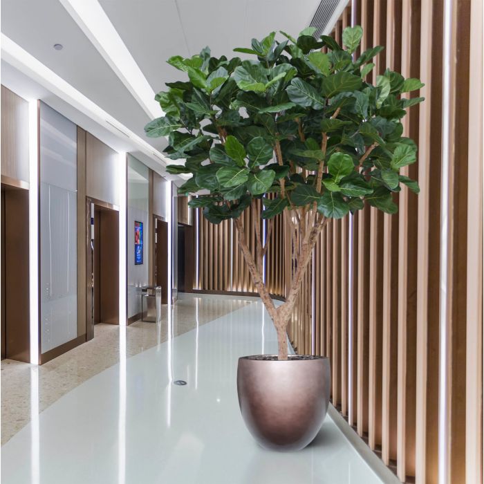 Ficus Lyrata XL kunstboom Deluxe 300cm - NOVA LIGNUM
