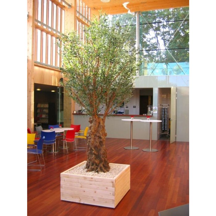 Olijf deluxe kunstboom 290cm - afbeelding 3