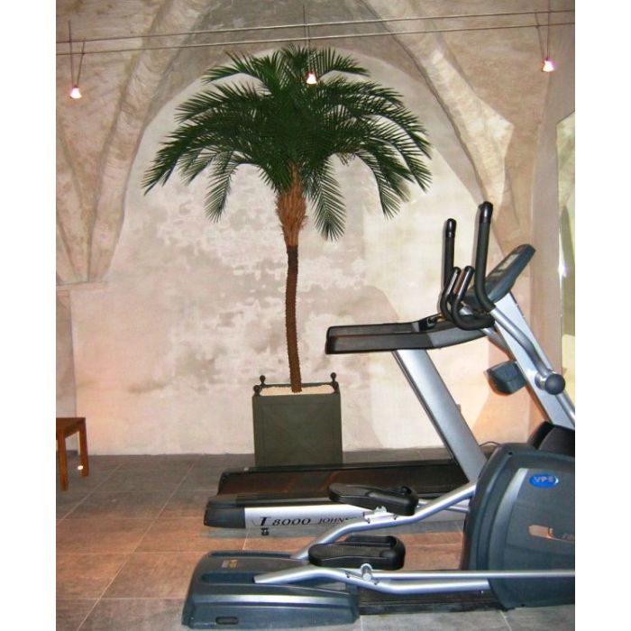 Phoenix kunstpalm deluxe OD 300cm - afbeelding 4