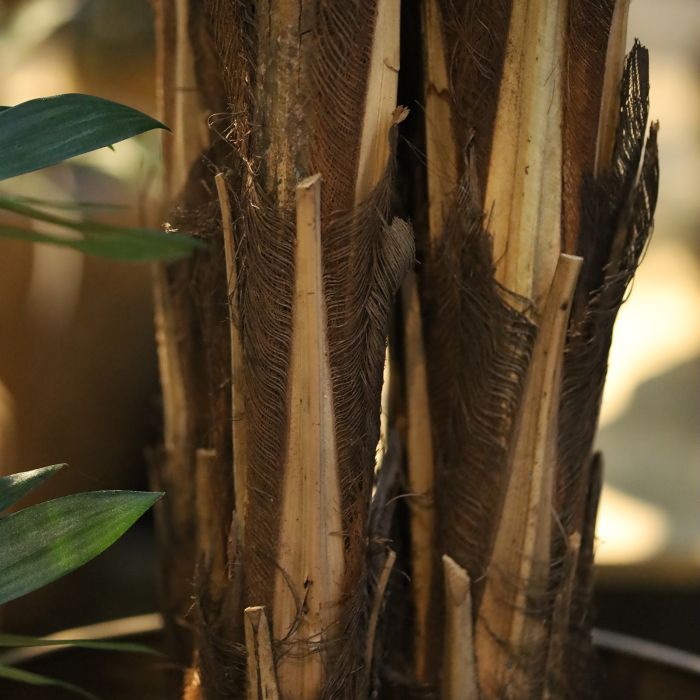 Fishtail Kunstpalm Deluxe XXL 300cm - NOVA LIGNUM
