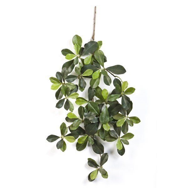 Flame retardant Oriental olive spray - NOVA LIGNUM