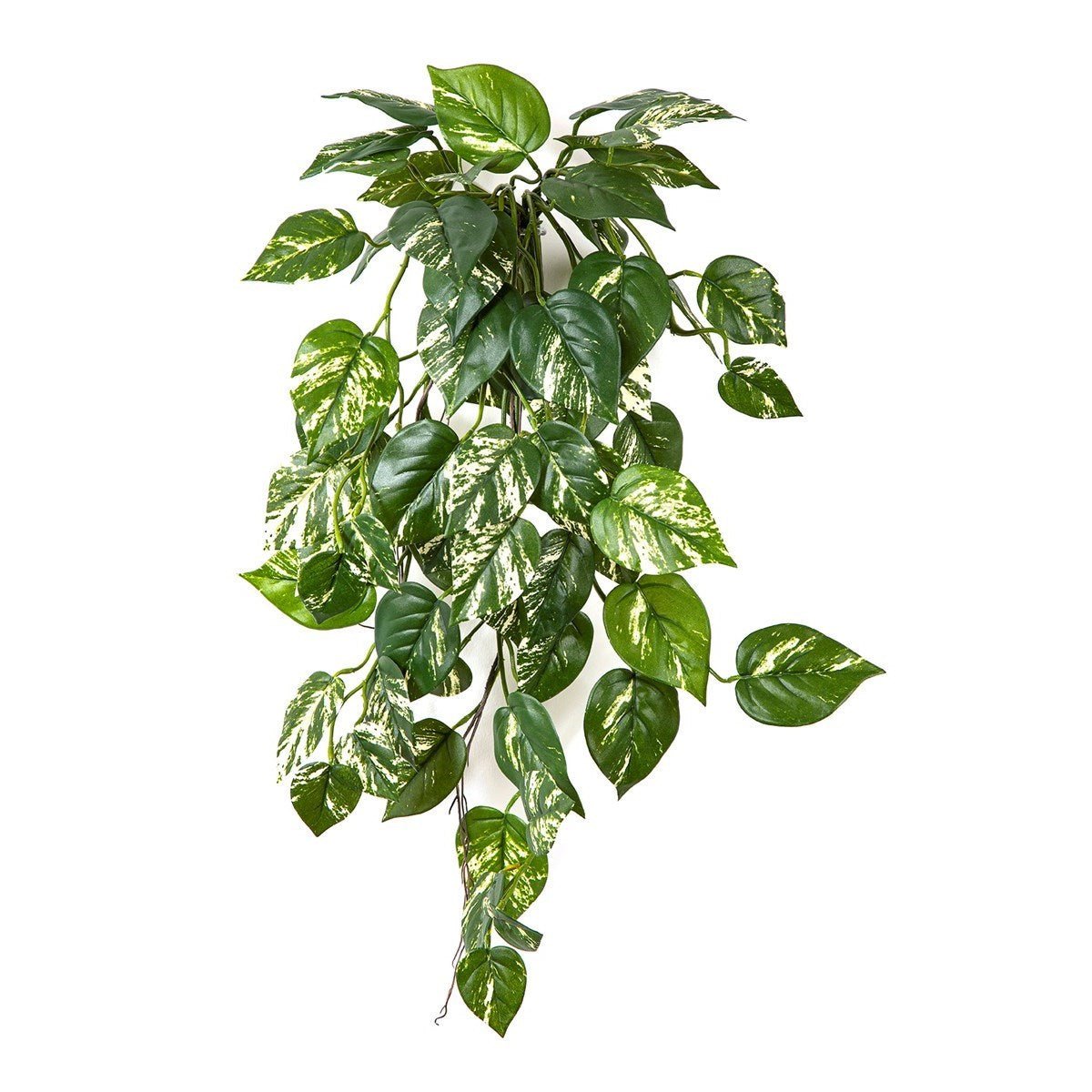 Flame Retardant Pothos Hanging Bush - NOVA LIGNUM