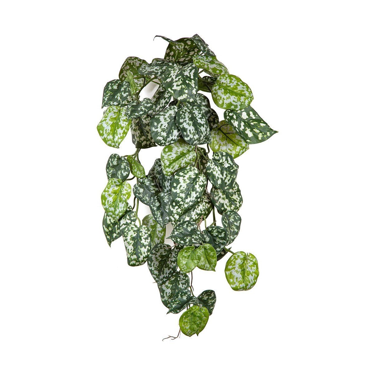 Flame Retardant Scindapsus Hanging Bush - NOVA LIGNUM