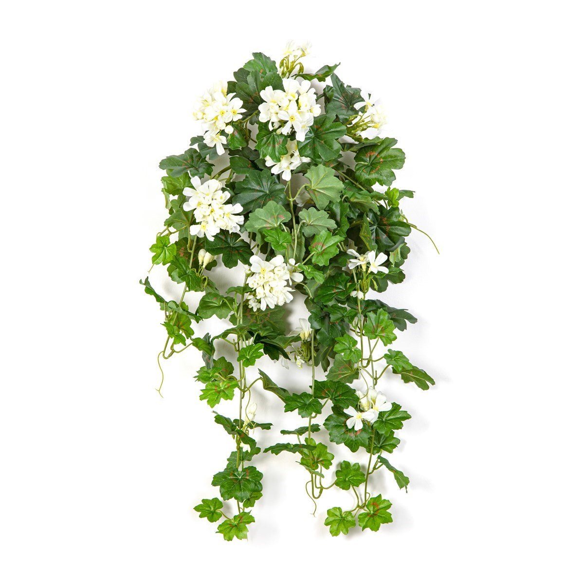 Geranium Cascade Hanging Bush Cream - NOVA LIGNUM