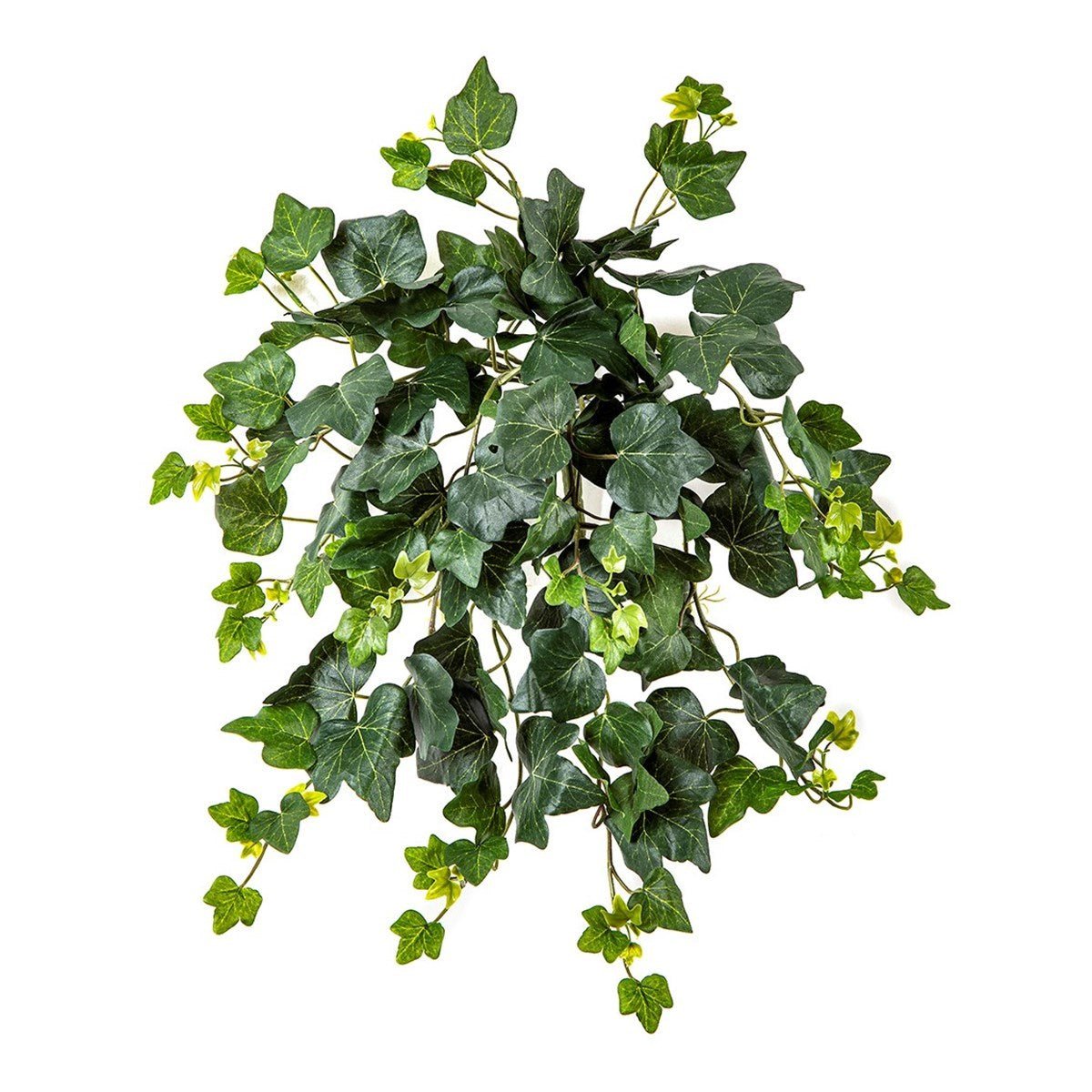 Ivy Hanging Bush x 133 - UV - NOVA LIGNUM