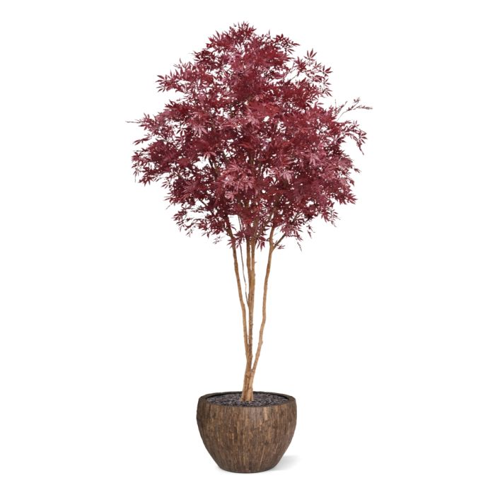 Japanse Acer Kunstboom Deluxe 325cm Burgundy - NOVA LIGNUM