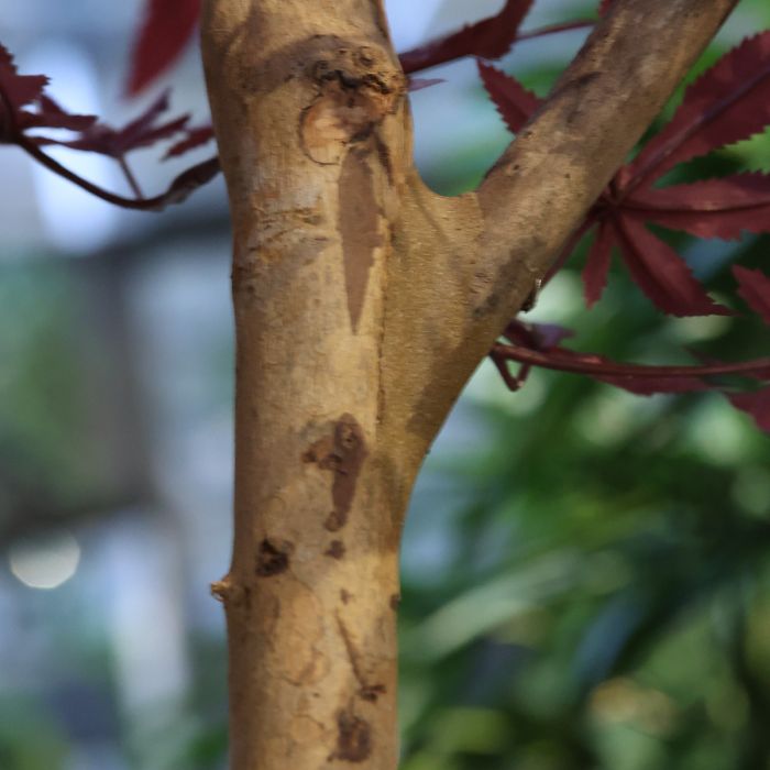 Japanse Acer Kunstboom Deluxe 325cm Burgundy - NOVA LIGNUM