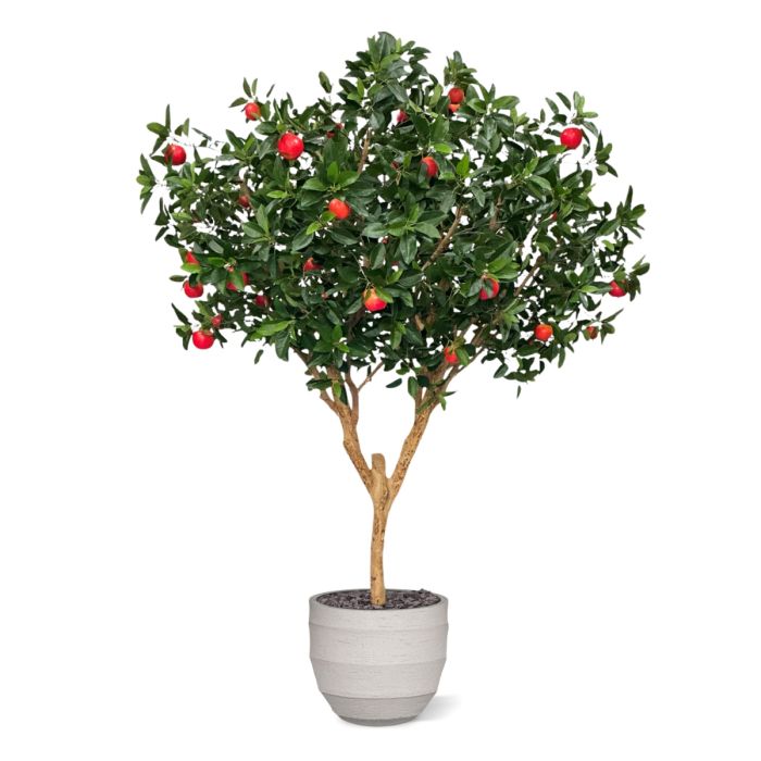 Kunst Appelboom Deluxe XL 280cm - NOVA LIGNUM