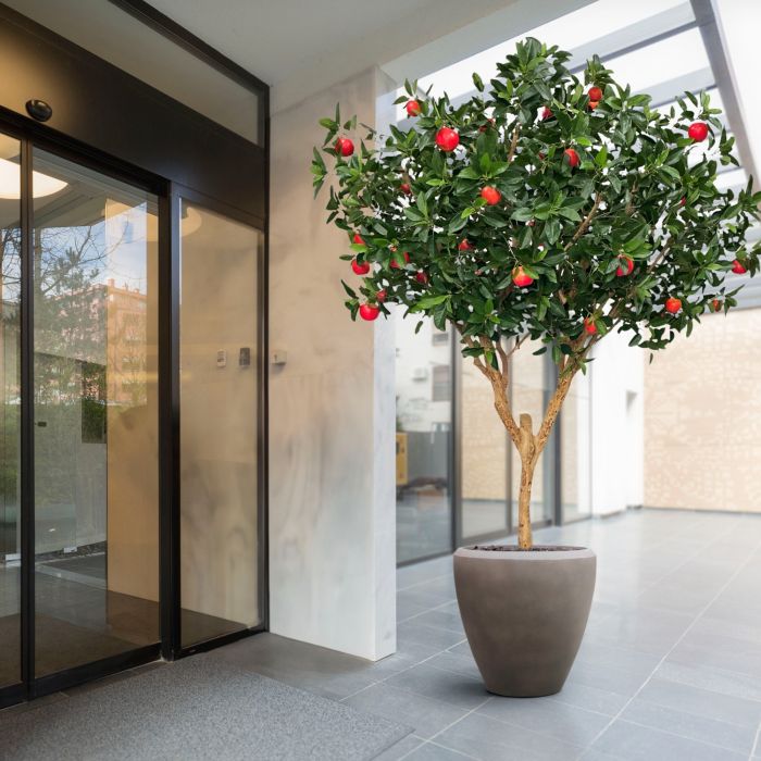 Kunst Appelboom Deluxe XL 280cm - NOVA LIGNUM