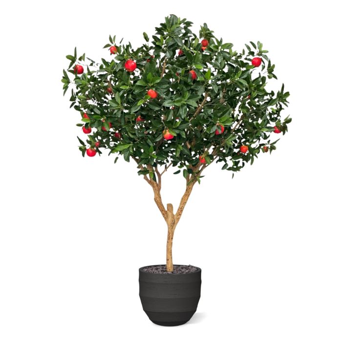 Kunst Appelboom Deluxe XL 280cm - NOVA LIGNUM