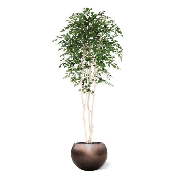 Kunst Berkenboom 250cm Deluxe - NOVA LIGNUM