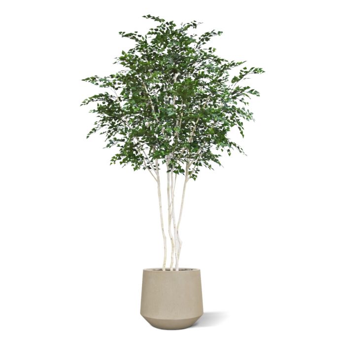 Kunst Berkenboom XXL 350cm Deluxe - NOVA LIGNUM