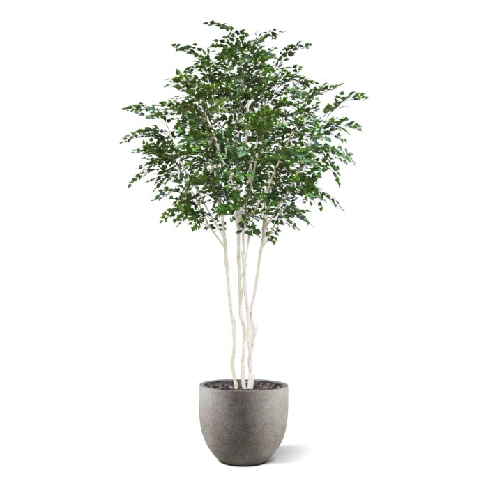 Kunst Berkenboom XXL 350cm Deluxe - NOVA LIGNUM