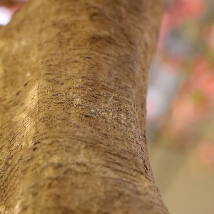 Kunst bloesemboom Deluxe Giant 275cm - NOVA LIGNUM