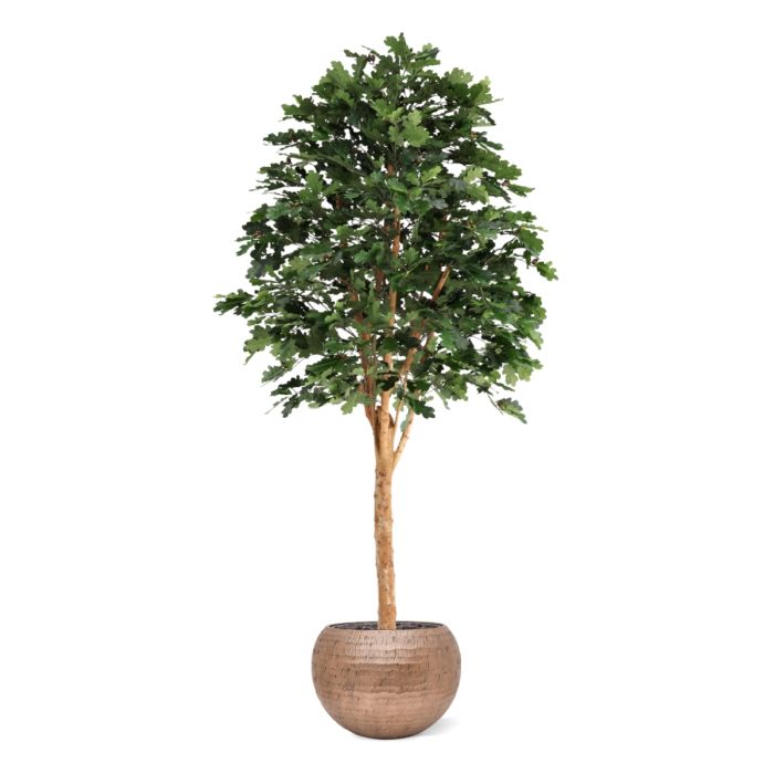 Kunst Eikenboom Deluxe 250cm - NOVA LIGNUM