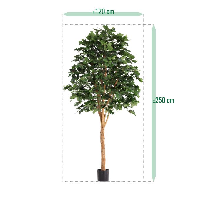 Kunst Eikenboom Deluxe 250cm - NOVA LIGNUM