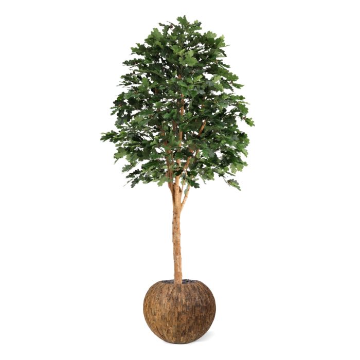 Kunst Eikenboom Deluxe 250cm - NOVA LIGNUM