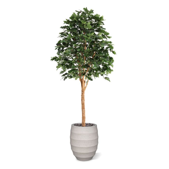 Kunst Eikenboom Deluxe 250cm - NOVA LIGNUM